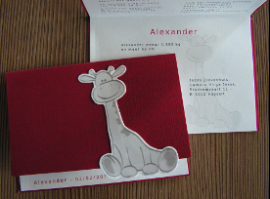 geboortekaartjeAlexander